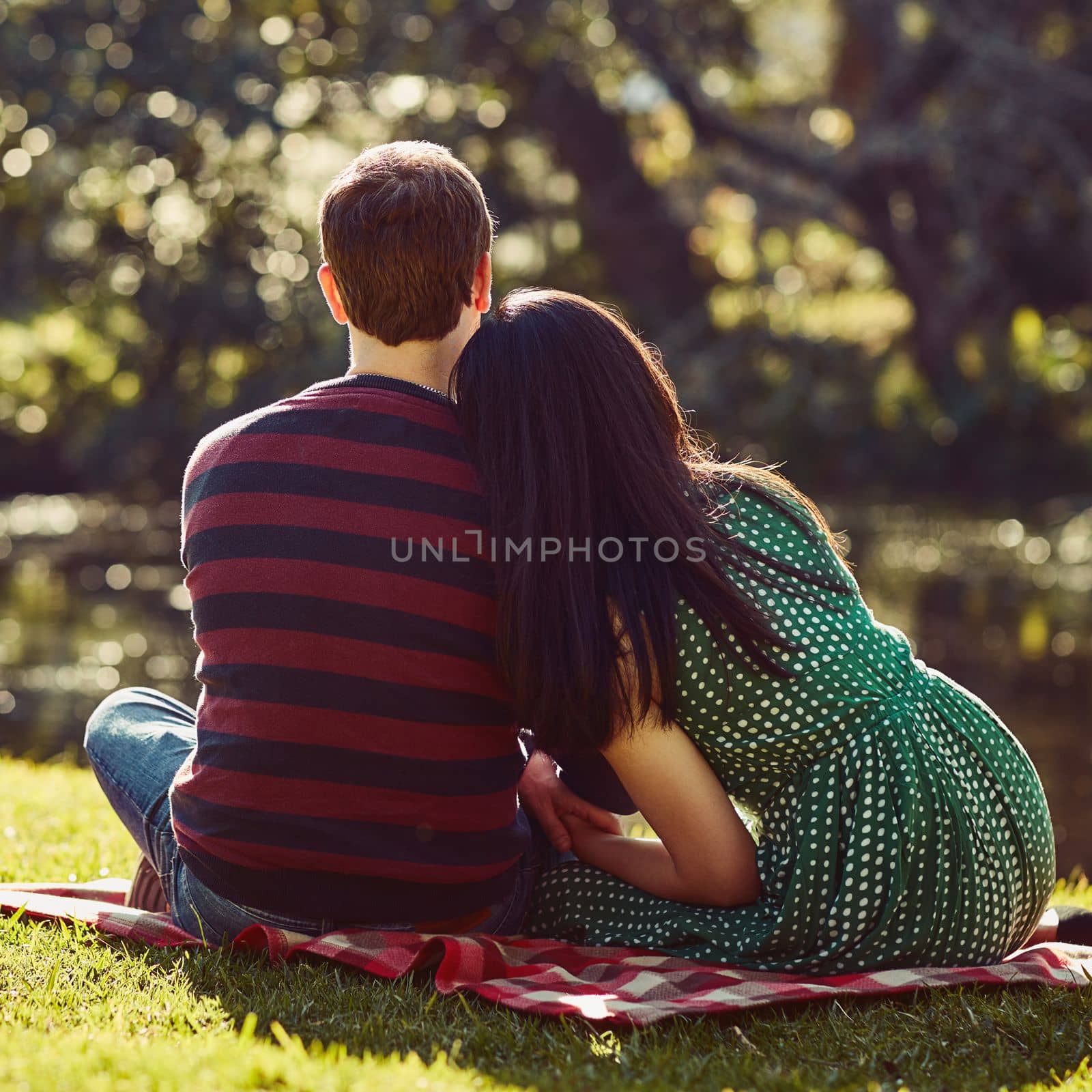 Their first date was in the park. Rearview shot of an affectionate young couple having a romantic picnic in the park