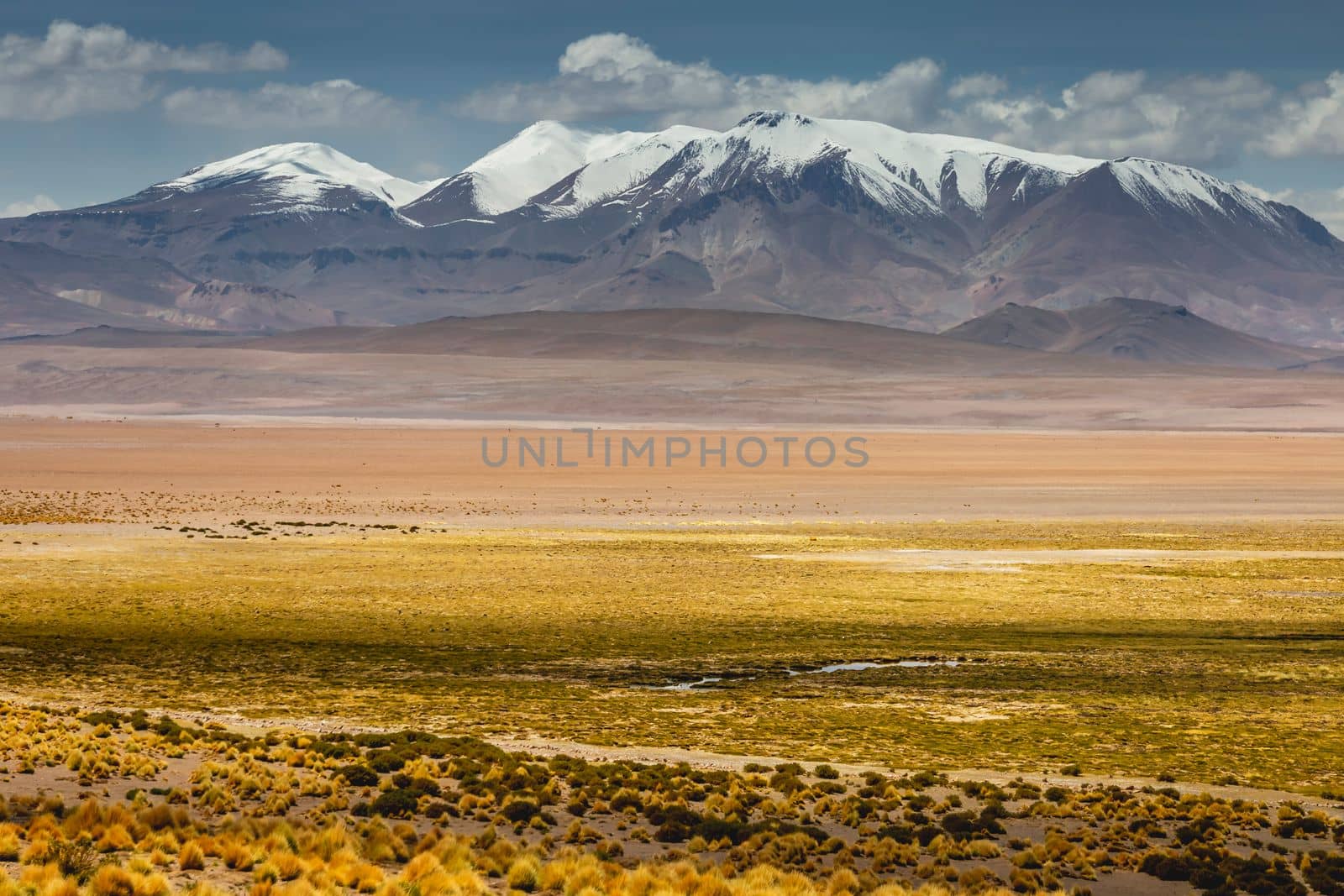 Atacama Desert dramatic volcanic landscape at Sunset, Northern Chile, South America