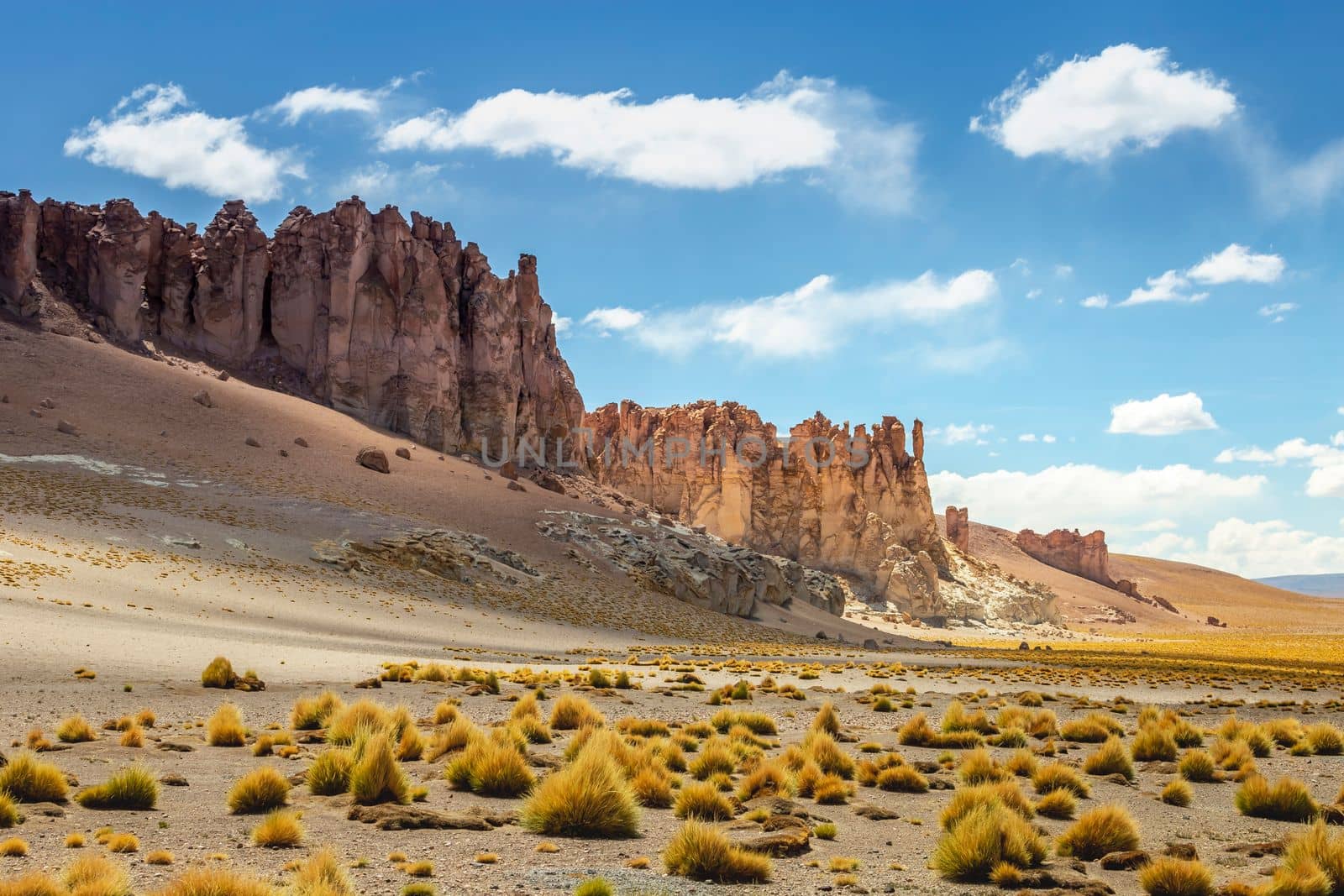 Atacama Desert dramatic volcanic landscape at Sunset, Northern Chile, South America