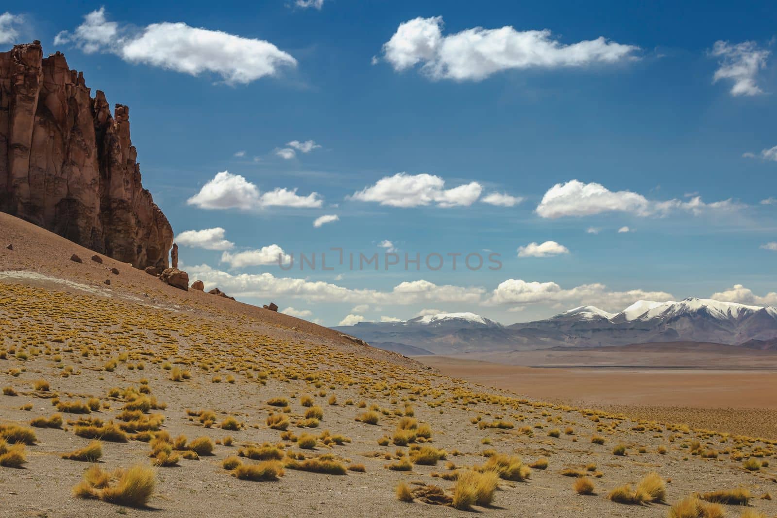 Atacama Desert dramatic volcanic landscape at Sunset, Northern Chile, South America