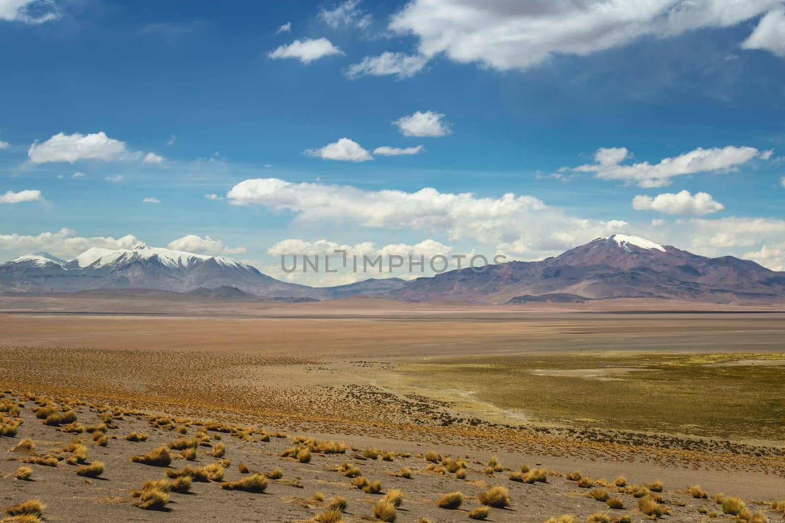 Atacama Desert dramatic volcanic landscape at Sunset, Northern Chile, South America