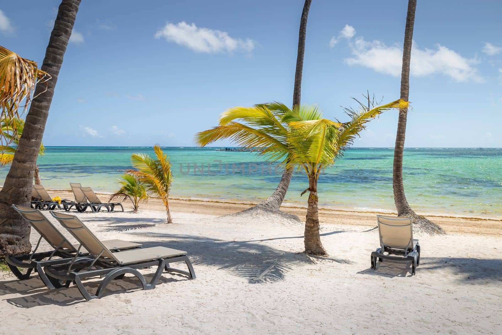 Tropical beach in caribbean sea, idyllic Saona island, Punta Cana, Dominican Republic