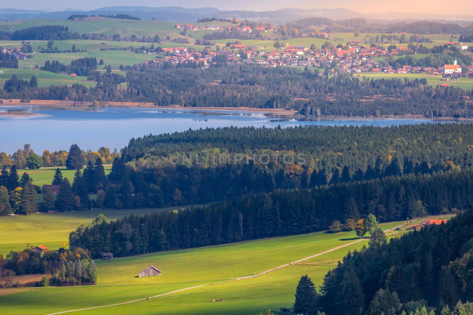 Forggensee Lake in Bavarian alps at golden autumn, Bavaria, Germany by positivetravelart