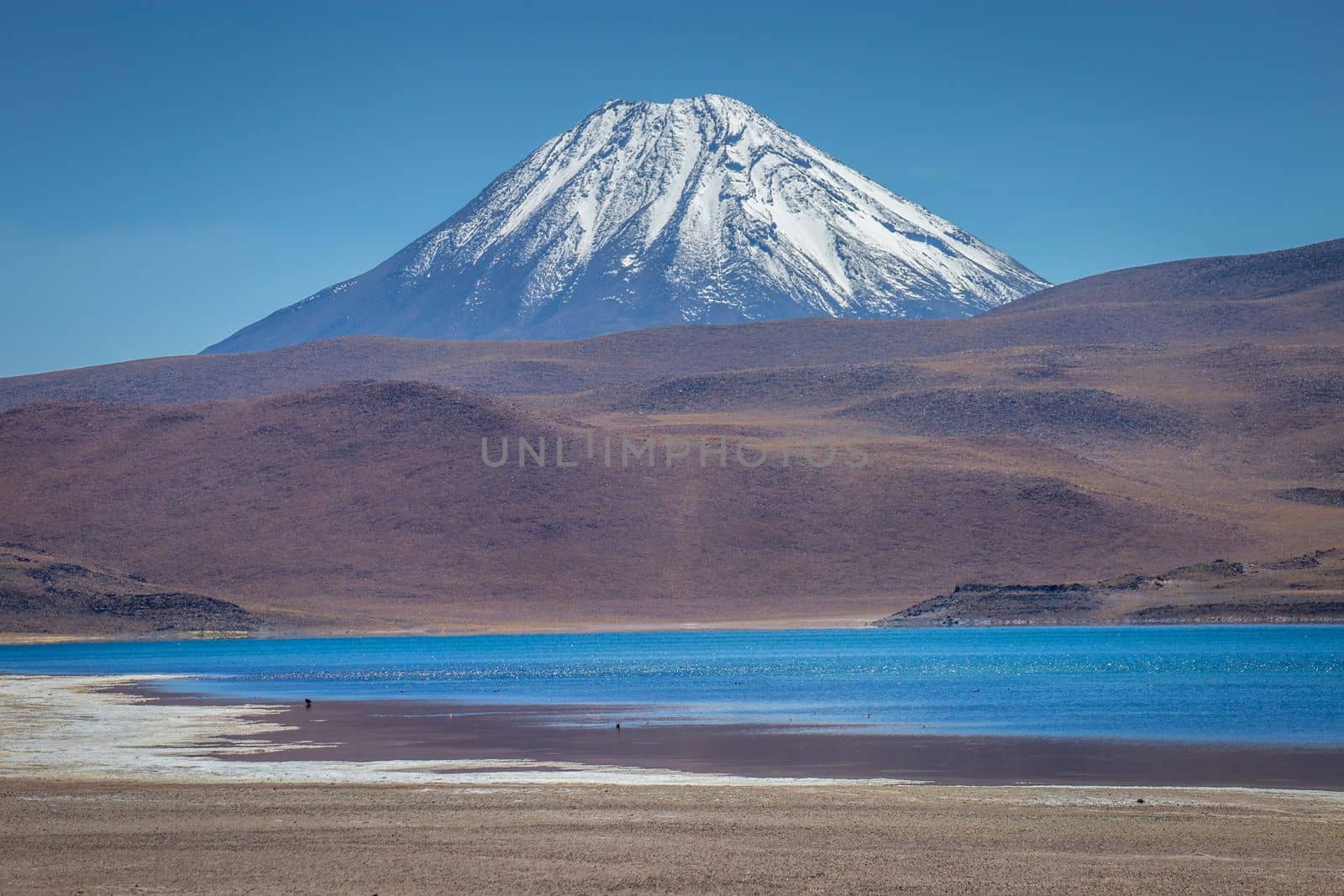 Salt lake Laguna Miscanti, and idyllic volcanic landscape at sunrise, Atacama desert, Chile border with Bolivia