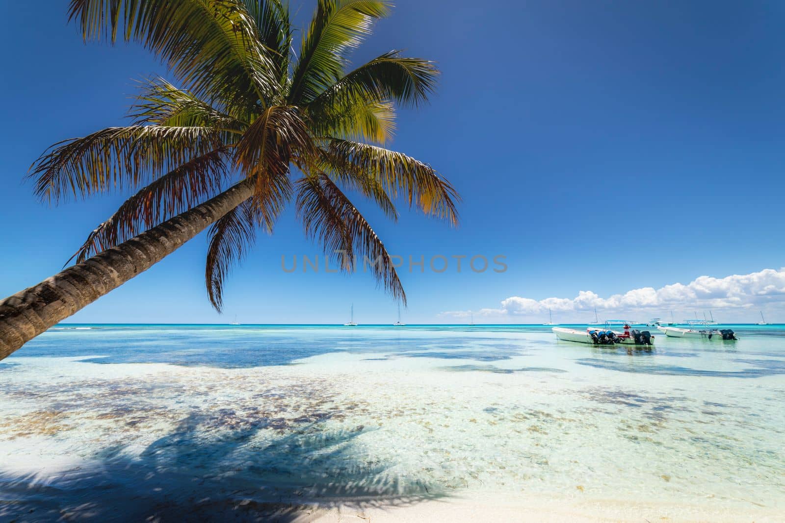 Boats and tropical beach in caribbean sea, idyllic Saona island, Punta Cana, Dominican Republic