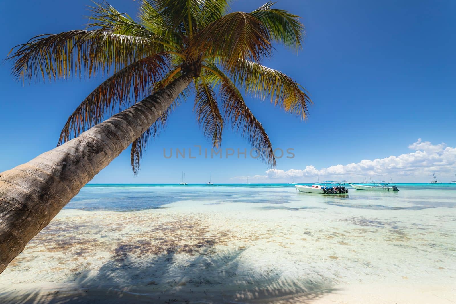 Boats and tropical beach in caribbean sea, idyllic Saona island, Punta Cana, Dominican Republic