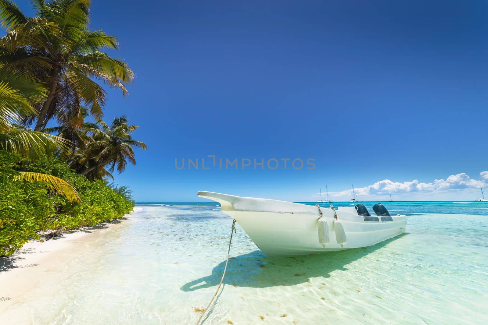 Boat and tropical beach in caribbean sea, idyllic Saona island, Punta Cana, Dominican Republic