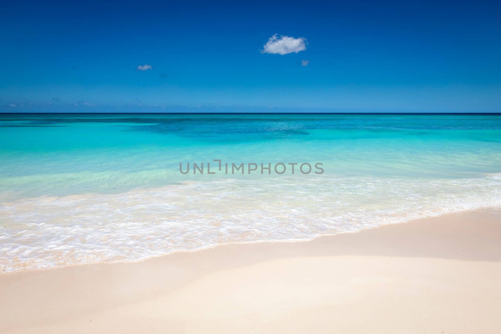 Tropical beach in caribbean sea, idyllic Saona island, Punta Cana, Dominican Republic