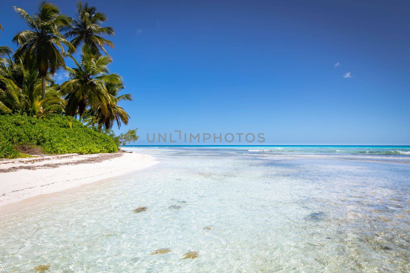 Tropical beach in caribbean sea, idyllic Saona island, Punta Cana, Dominican Republic