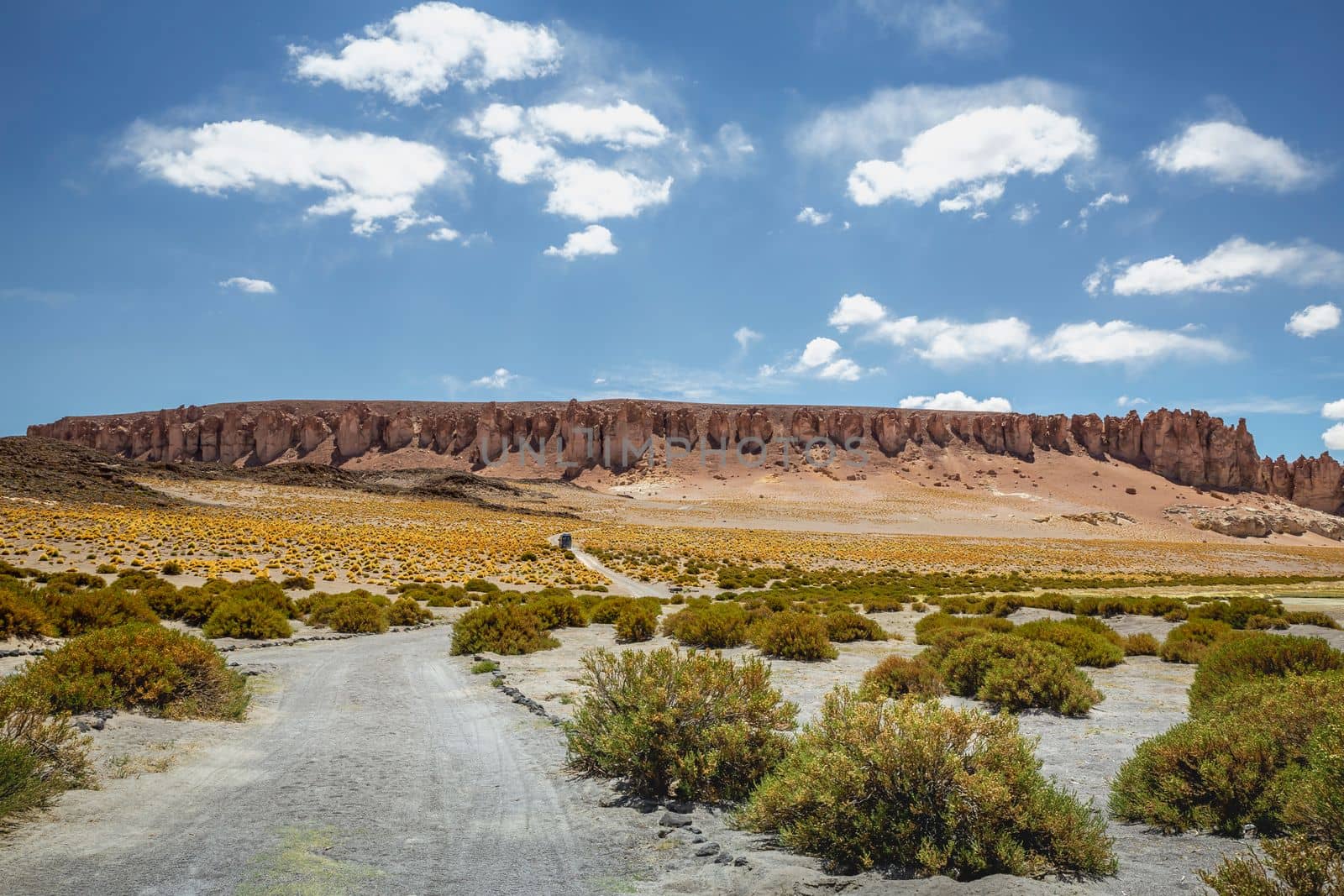 Dirt Road in Peaceful Moon Valley dramatic landscape at Sunset, Atacama Desert, Chile