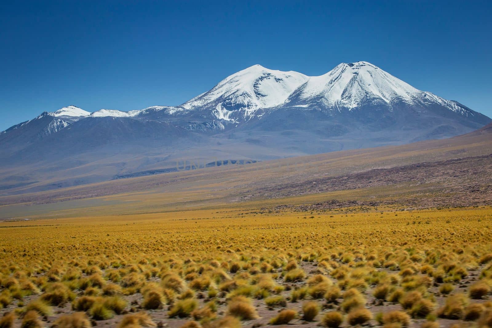 Atacama Desert dramatic volcanic landscape at Sunset, Northern Chile, South America