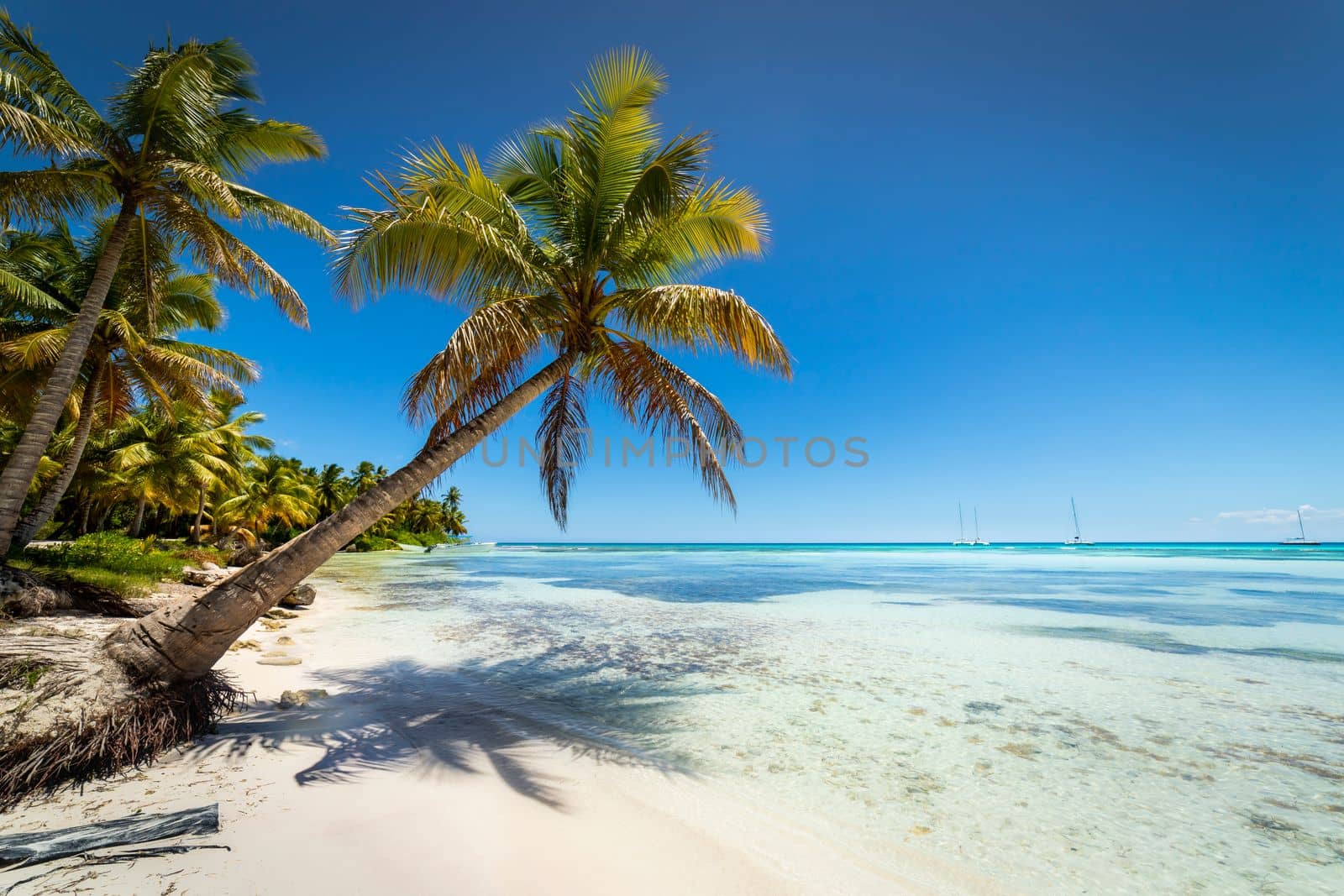 Boats and tropical beach in caribbean sea, idyllic Saona island, Punta Cana, Dominican Republic