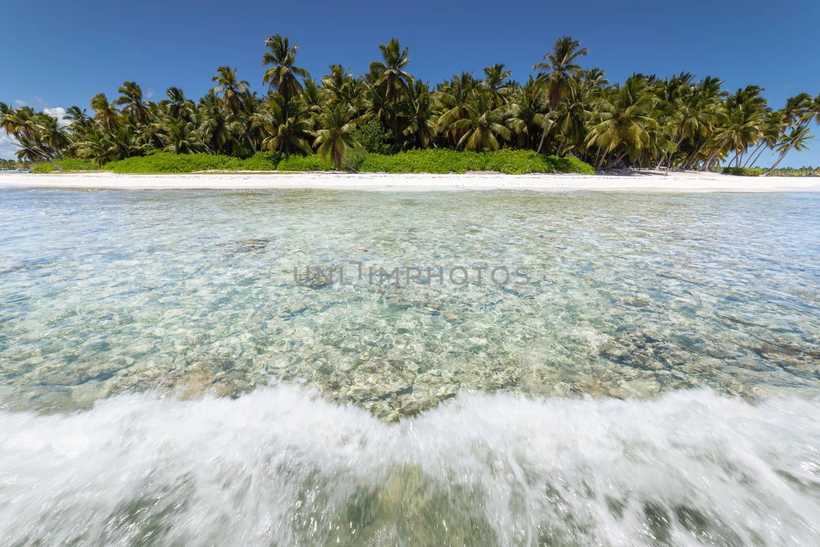 Tropical beach in caribbean sea, idyllic Saona island, Punta Cana, Dominican Republic