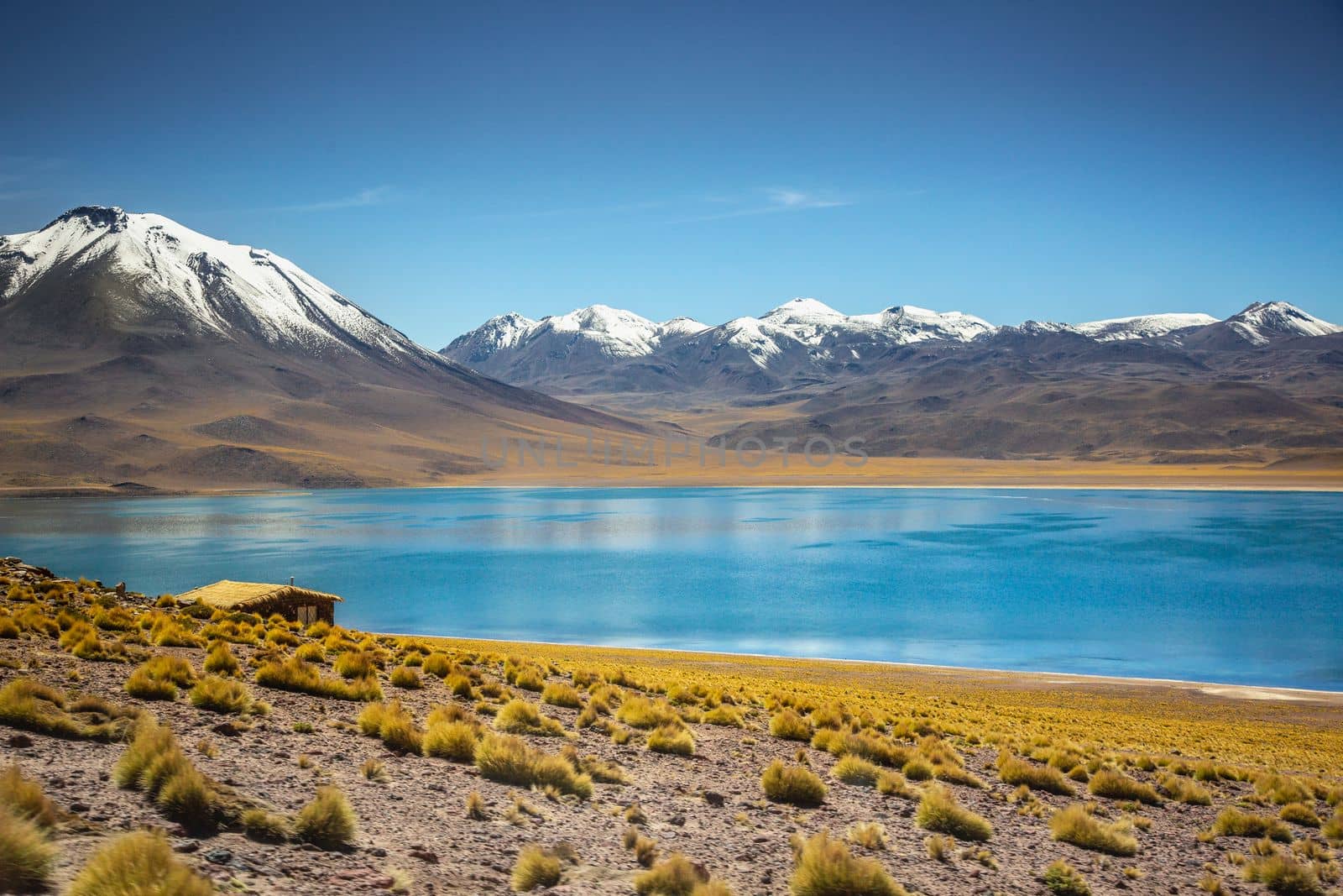 Salt lake Laguna Miscanti, and idyllic volcanic landscape at sunrise, Atacama desert, Chile border with Bolivia