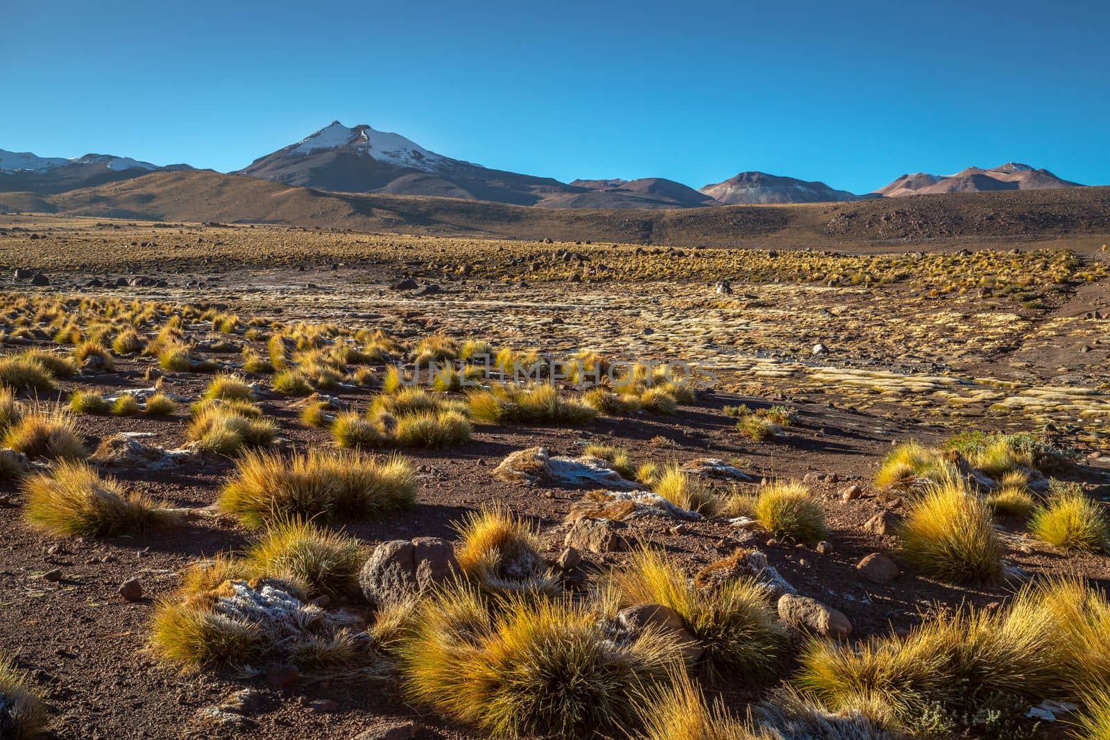 Atacama Desert dramatic volcanic landscape at Sunset, Northern Chile, South America