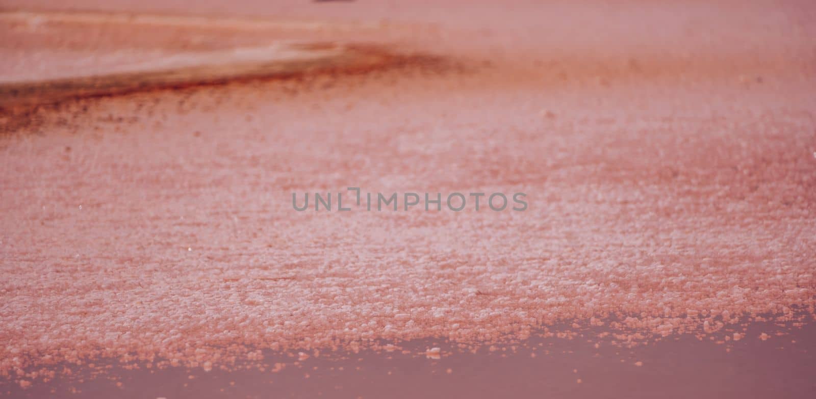 Pink salt crystals. Natural pink salt lake texture. Salt mining. Extremely salty pink lake, colored by microalgae with crystalline salt depositions by panophotograph