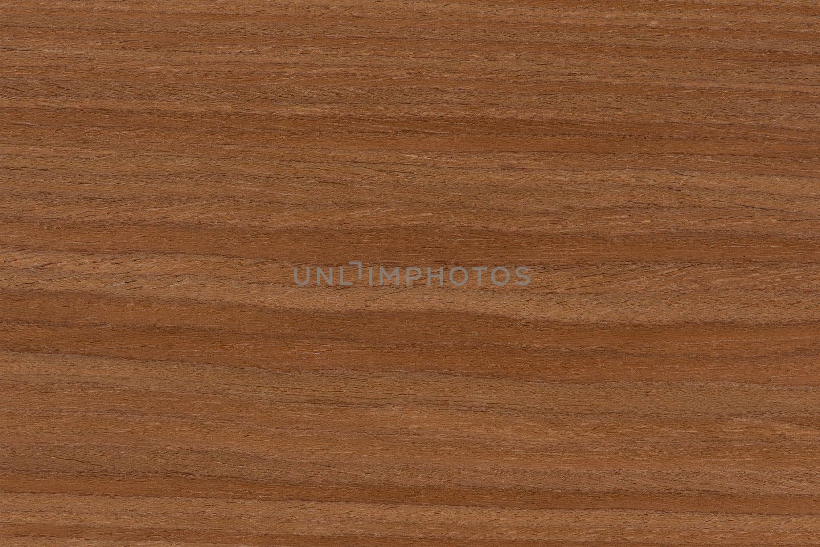 Cherry wood texture. Qualitative texture of wild cherry wood. Manufacture of furniture or interior elements from rare wood species, cherry wood veneer with a horizontal pattern