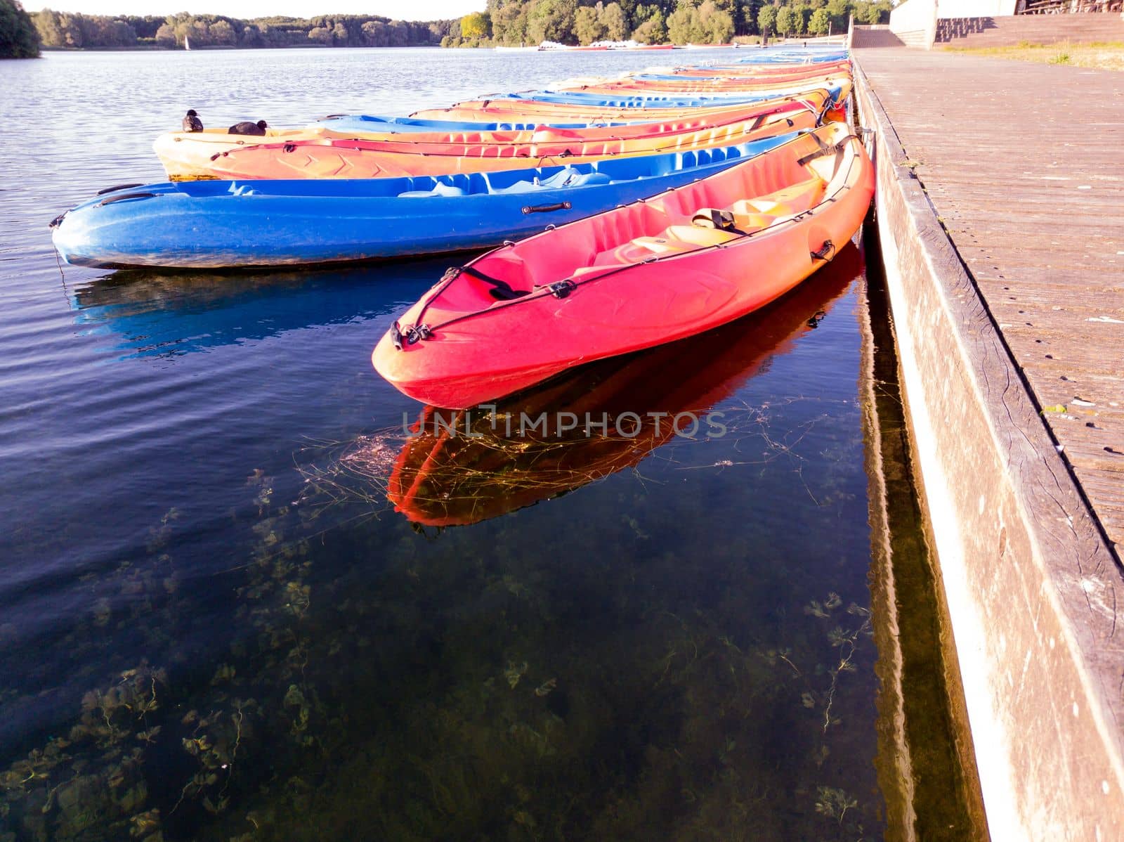 a group of kayaks in red and blue colors floating at a lake with their reflections and waiting for people on a sunny day