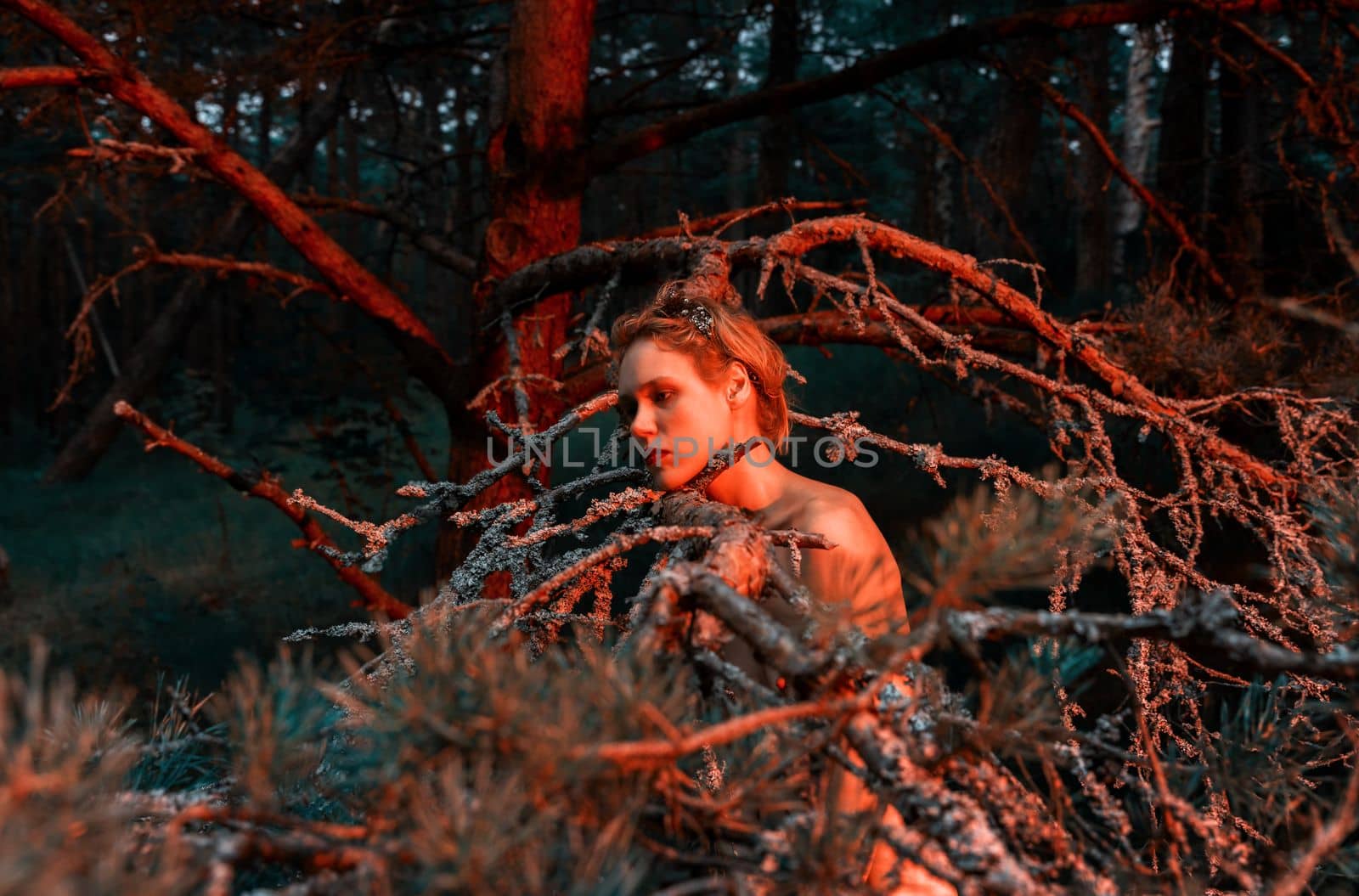 A young nude woman poses in a pine forest among old pines and dry branches, illuminated by the red rays of the setting sun. Nude art image