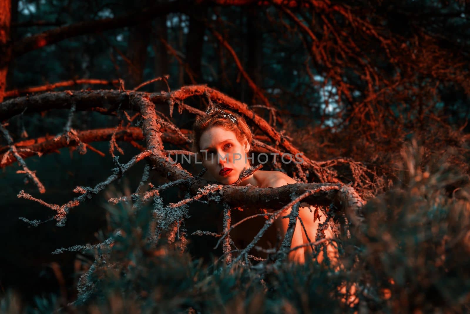 A young nude woman poses in a pine forest among old pines and dry branches, illuminated by the red rays of the setting sun. Nude art image