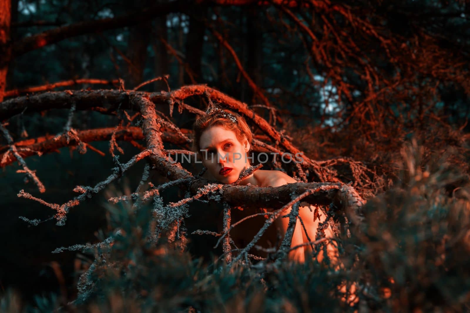 Naked woman among the dried branches of old pine trees by palinchak