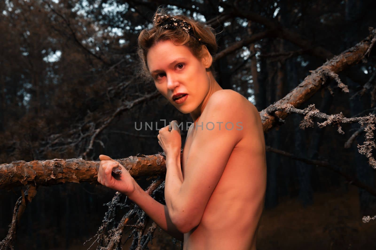 Naked woman among the dried branches of old pine trees by palinchak