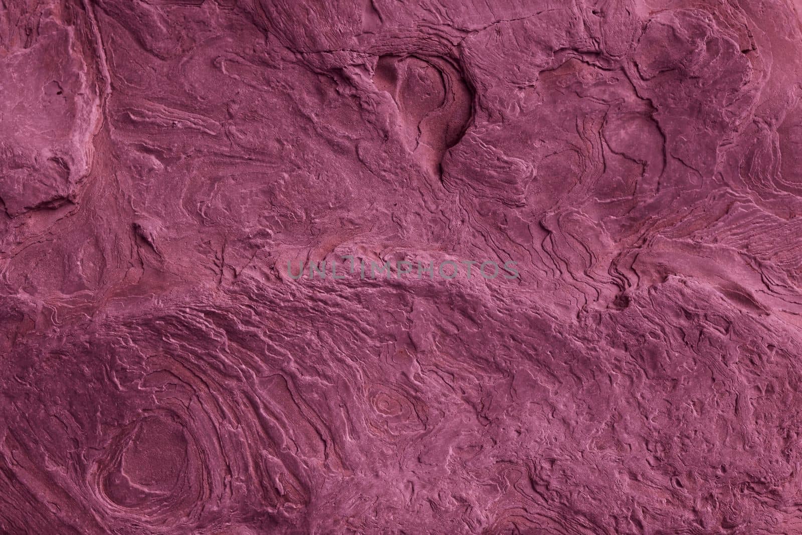 Viva Magenta tinted colored background. Floral glowing petals, toned banner in trendy color 2023. Grunge Viva Magenta color texture