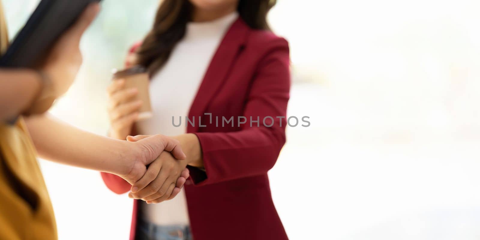 Business people shaking hands, finishing up meeting, business etiquette, congratulation, merger and acquisition concept by nateemee