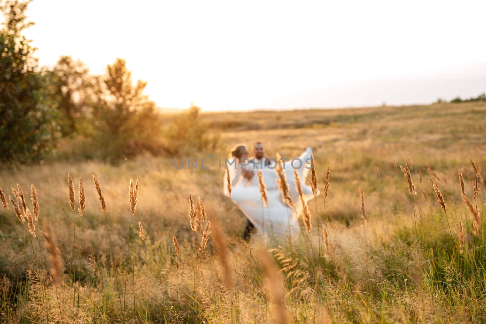 bride blonde girl and groom in a field by Andreua