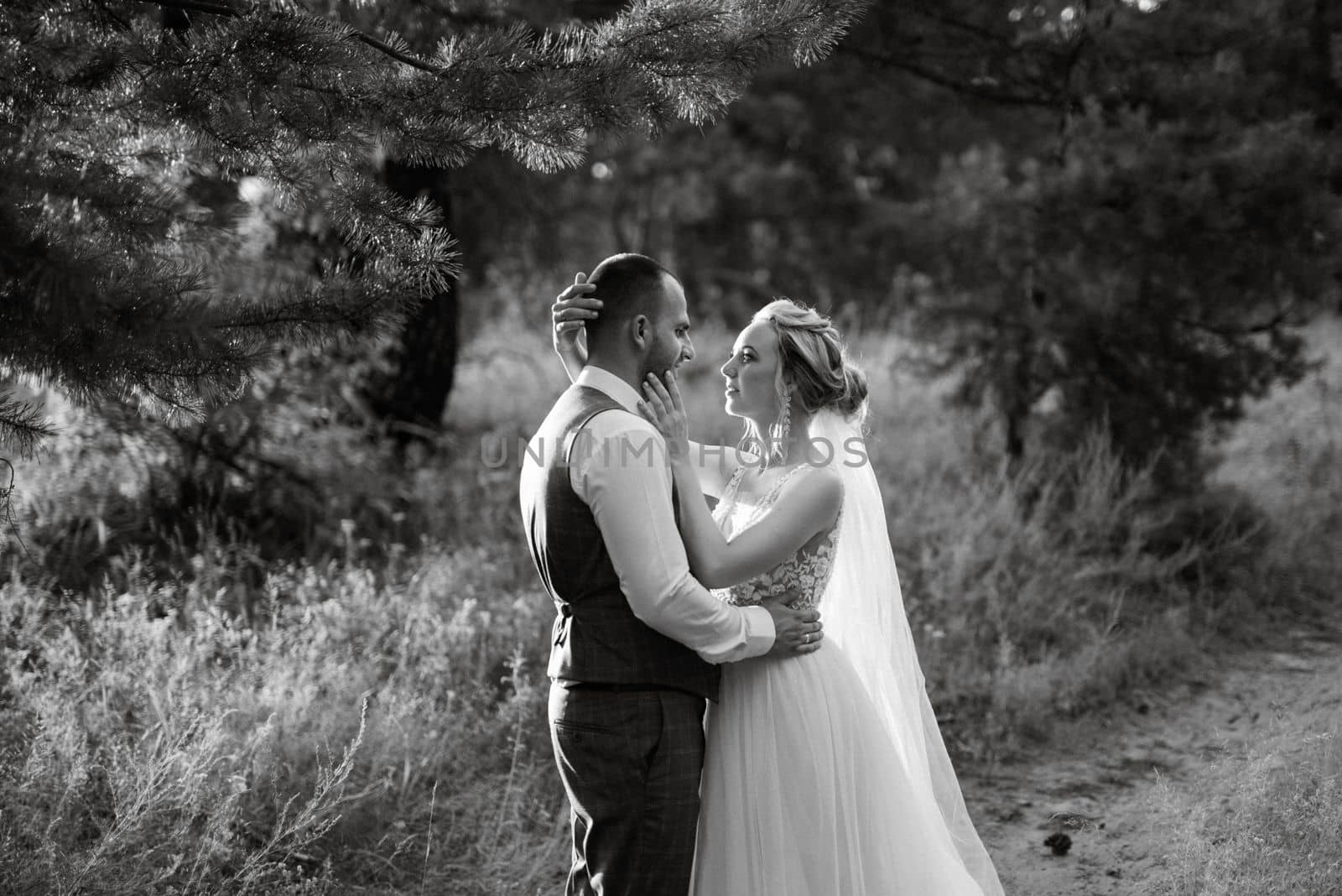 the groom and the bride are walking in the forest on a bright day