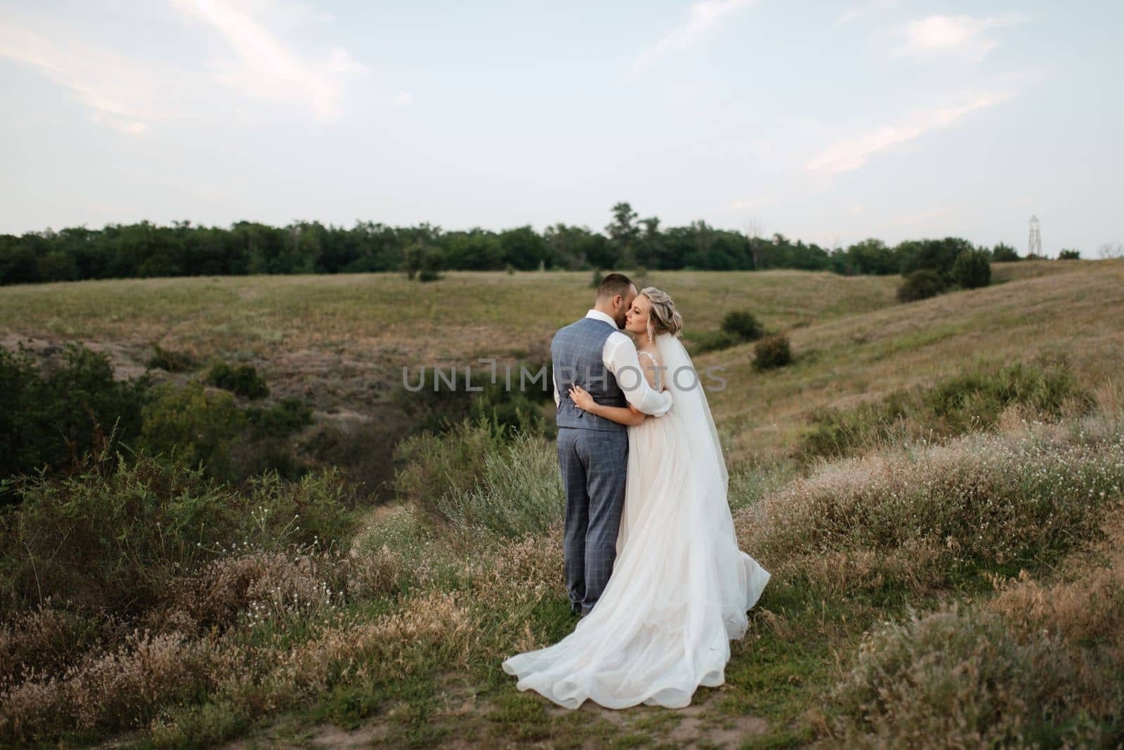 bride blonde girl and groom in a field at sunset light