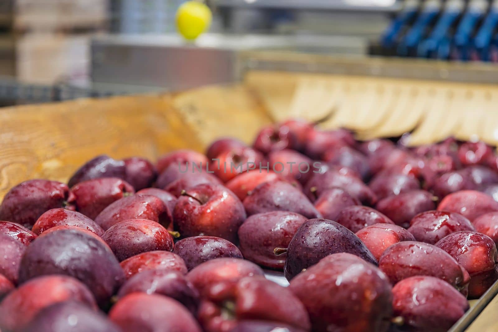 quality control of apples at the factory by zokov