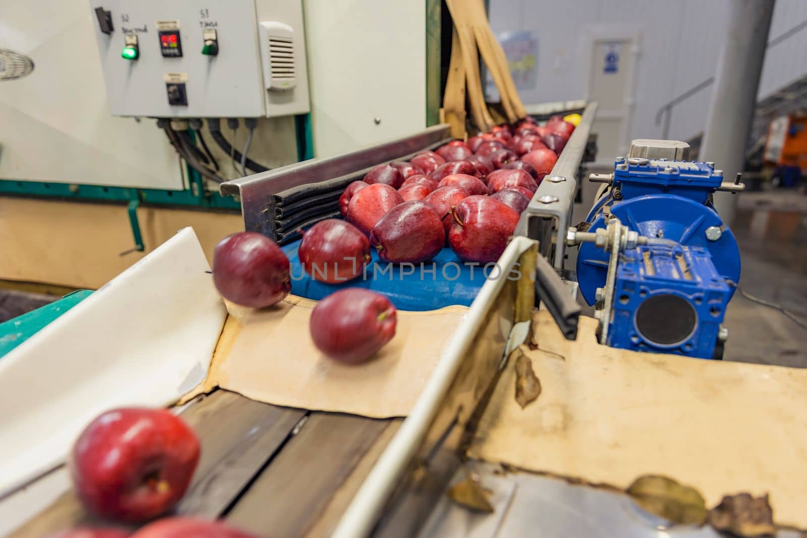 automatic movement of apples in the factory