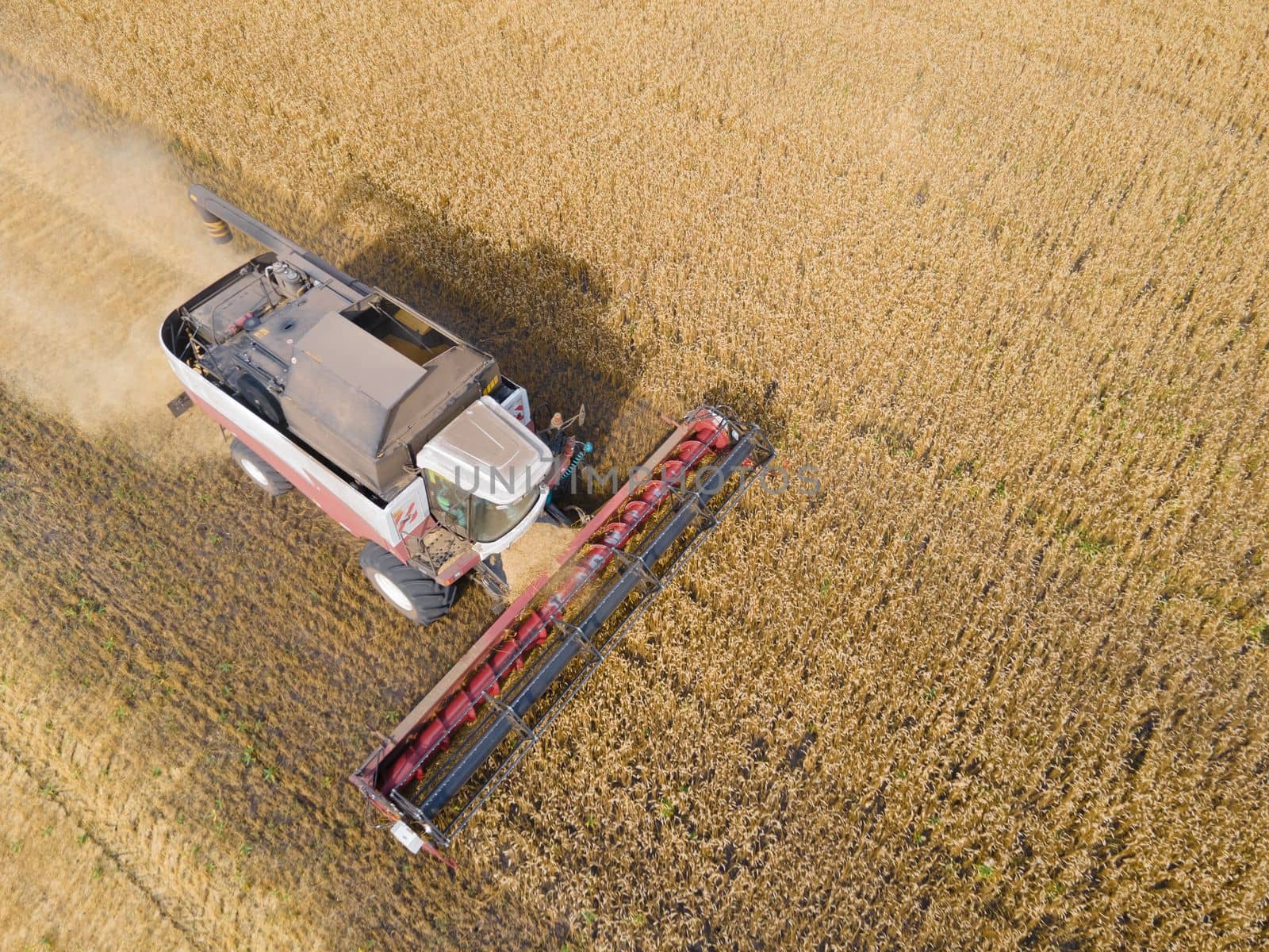 Combines mow wheat in the field.Agro-industry.Combine Harvester Cutting on wheat field.Machine harvest wheat.Harvesting of grain crops.Harvesting wheat,oats and barley in fields,ranches and farmlands