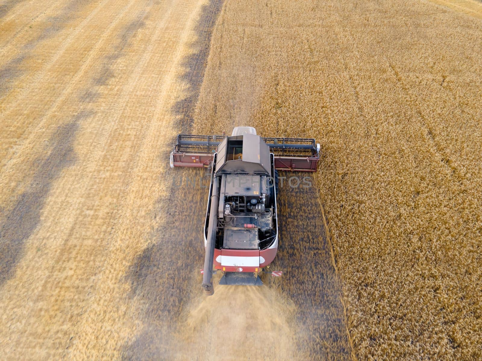 Combines mow wheat in the field.Agro-industry.Combine Harvester Cutting on wheat field.Machine harvest wheat.Harvesting of grain crops.Harvesting wheat,oats and barley in fields,ranches and farmlands by YevgeniySam