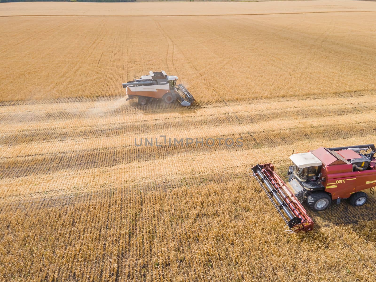 Harvest wheat grain and crop aerial view.Harvesting wheat,oats, barley in fields,ranches and farmlands.Combines mow in the field.Agro-industry.Combine Harvester Cutting on wheat filed.Machine harvest by YevgeniySam