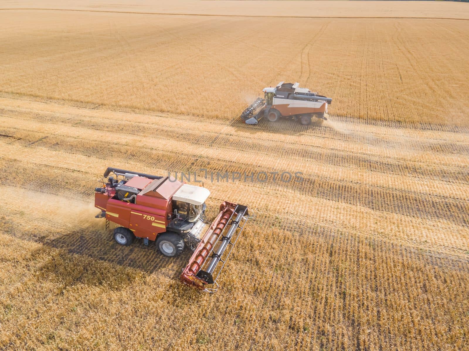 Harvest wheat grain and crop aerial view.Harvesting wheat,oats, barley in fields,ranches and farmlands.Combines mow in the field.Agro-industry.Combine Harvester Cutting on wheat filed.Machine harvest by YevgeniySam