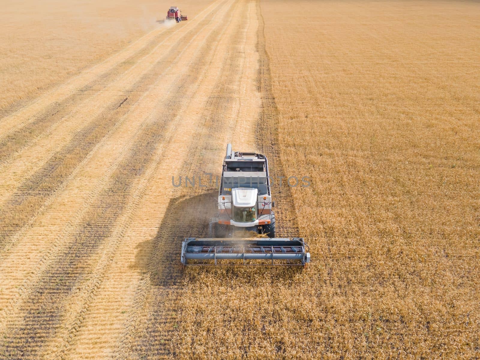 Harvest wheat grain and crop aerial view.Harvesting wheat,oats, barley in fields,ranches and farmlands.Combines mow in the field.Agro-industry.Combine Harvester Cutting on wheat filed.Machine harvest by YevgeniySam