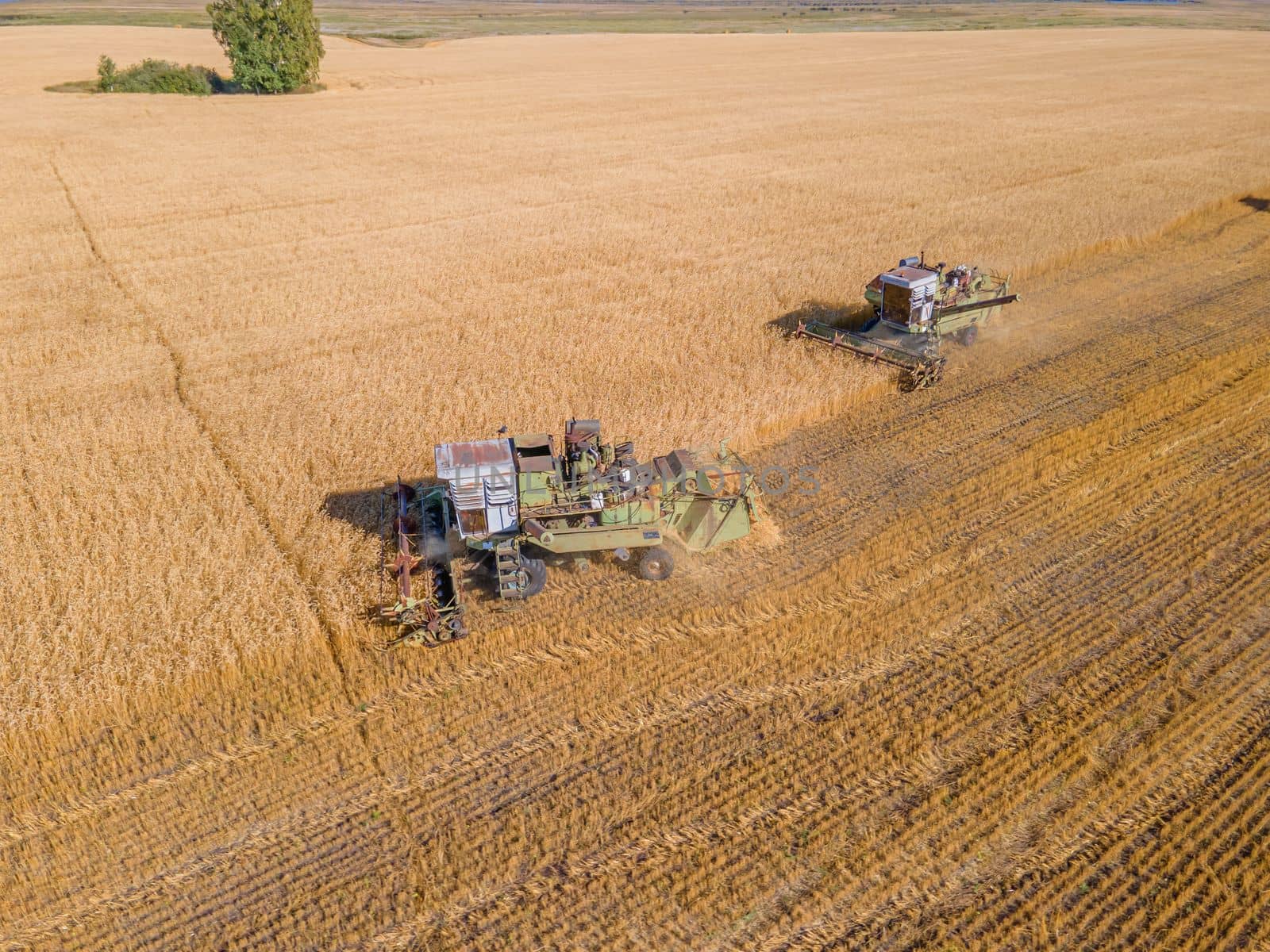 Harvest wheat grain and crop aerial view.Harvesting wheat,oats, barley in fields,ranches and farmlands.Combines mow in the field.Agro-industry.Combine Harvester Cutting on wheat filed.Machine harvest by YevgeniySam