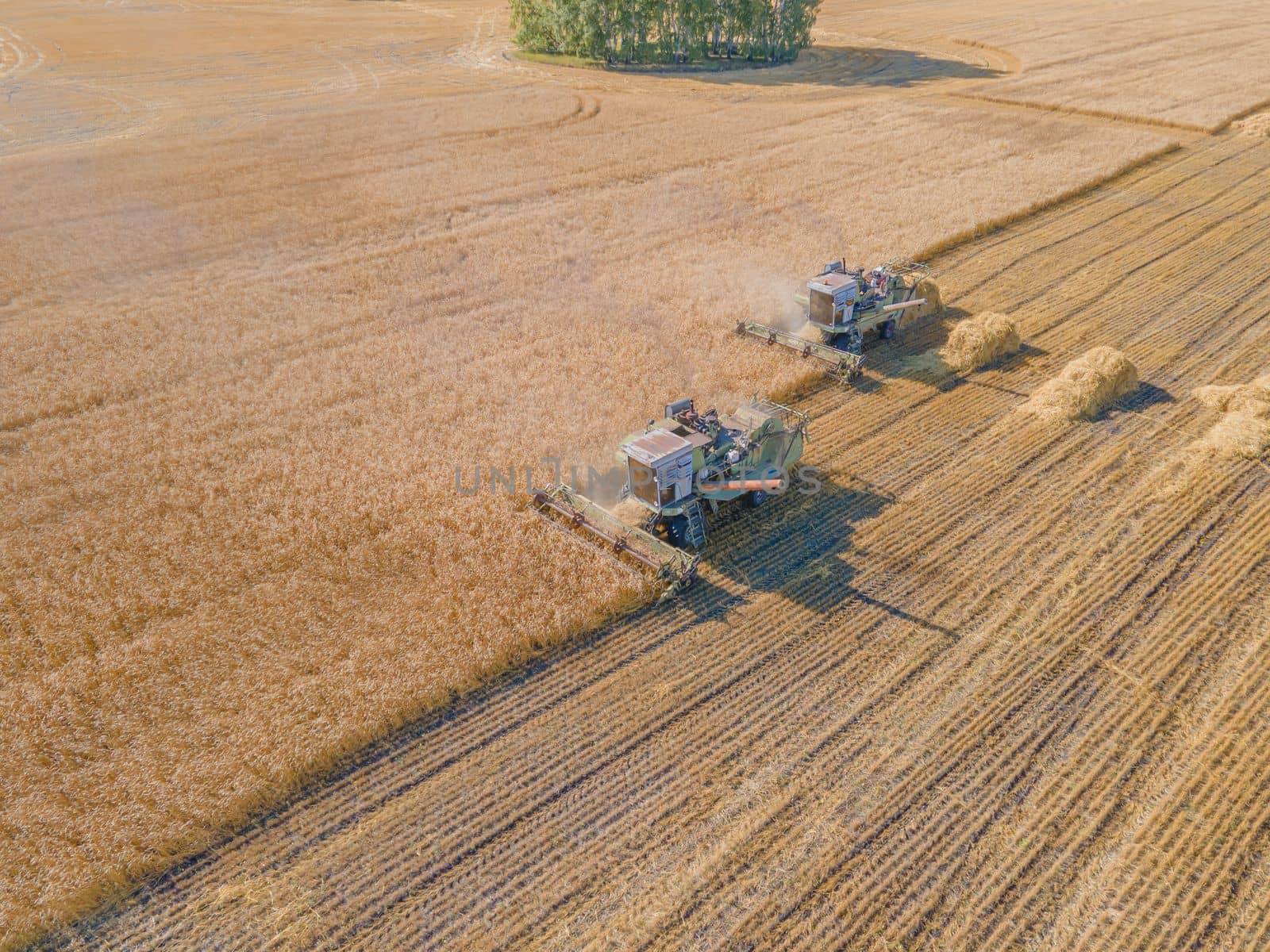 Harvest wheat grain and crop aerial view.Harvesting wheat,oats, barley in fields,ranches and farmlands.Combines mow in the field.Agro-industry.Combine Harvester Cutting on wheat filed.Machine harvest