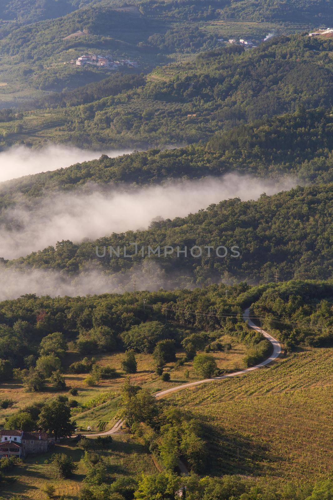 Sunrise in Motovun countryside in central Istria, Croatia