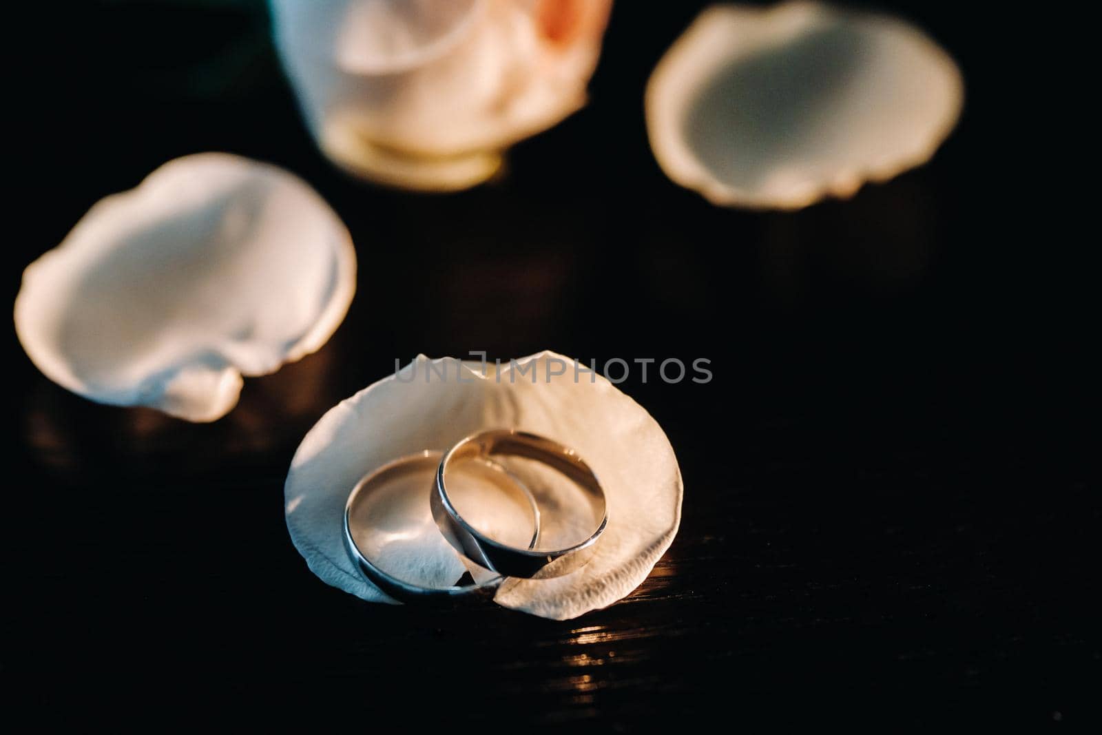 Close-up of two gold wedding rings in shells on a black background.Wedding ring.Wedding ring.Wedding.