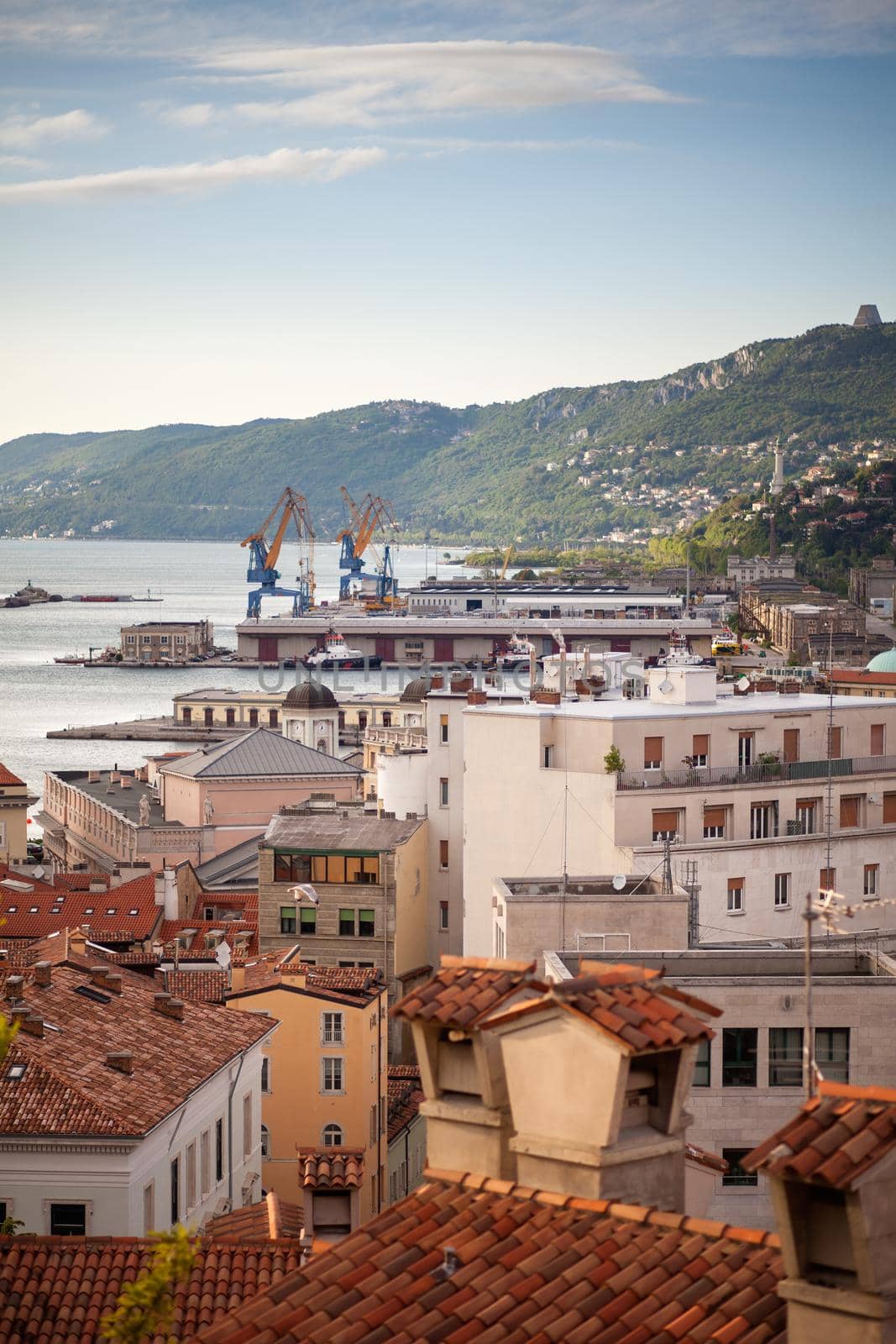 View of Trieste roofs by bepsimage