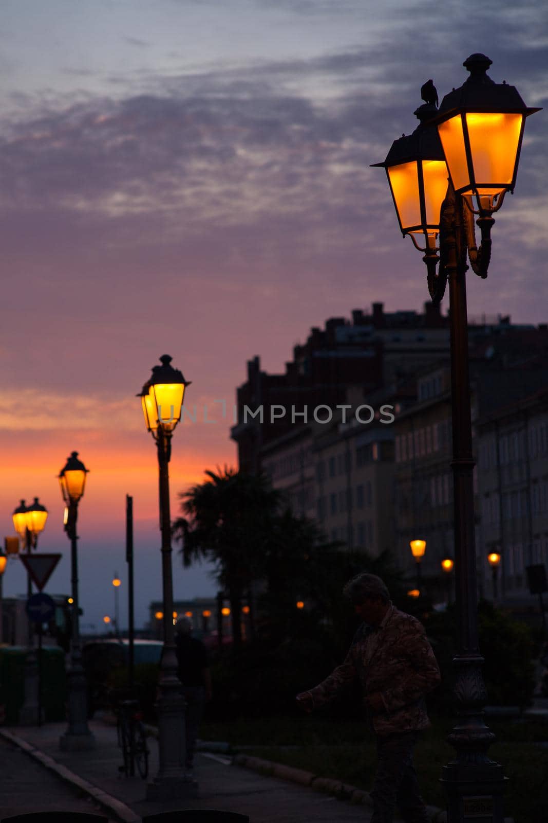 Street lantern, Trieste by bepsimage