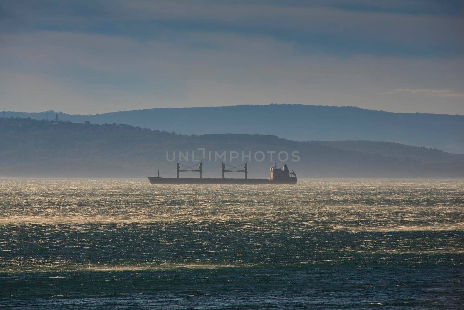 View of international container cargo ship in the Trieste sea