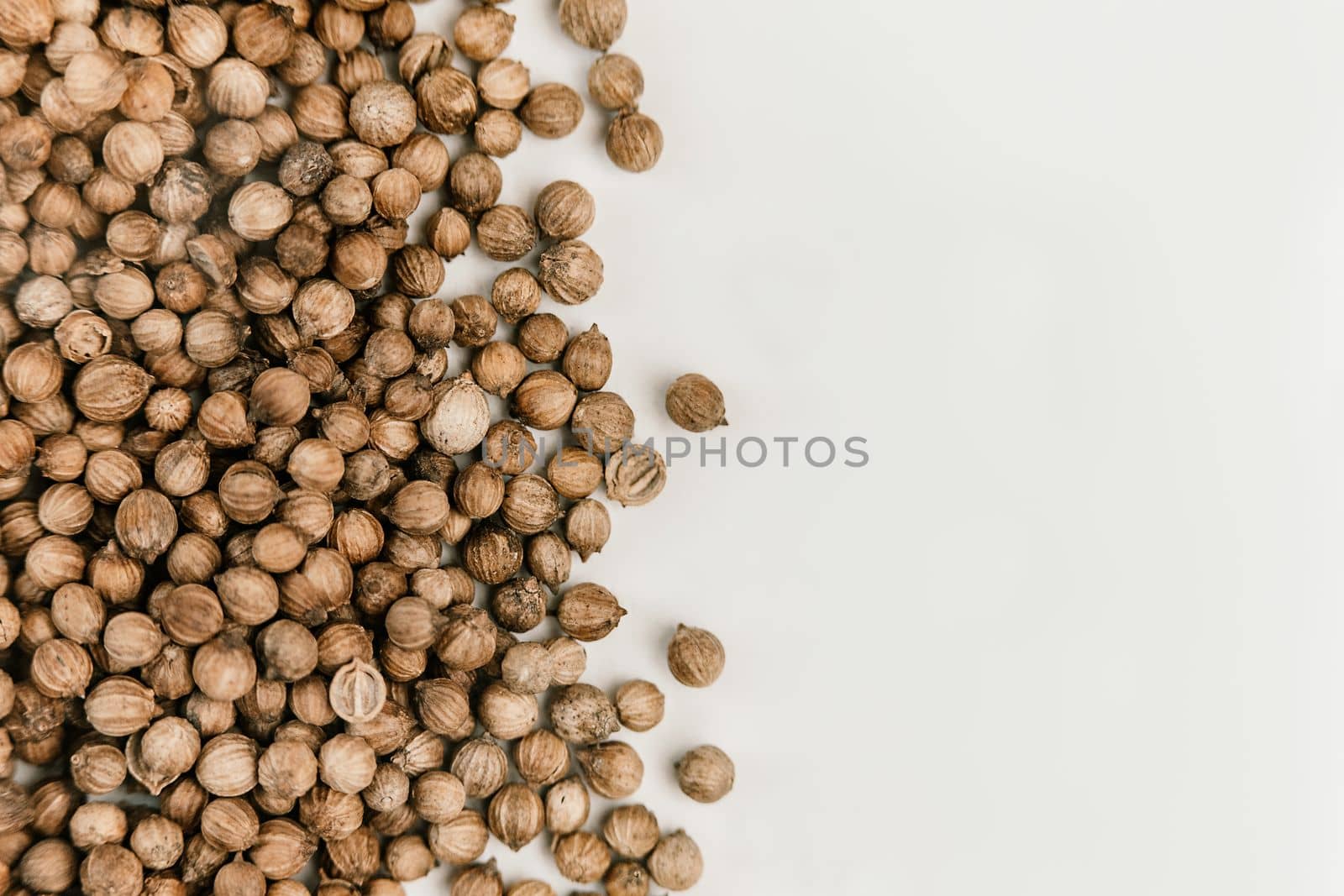 Coriander seeds close up texture background.