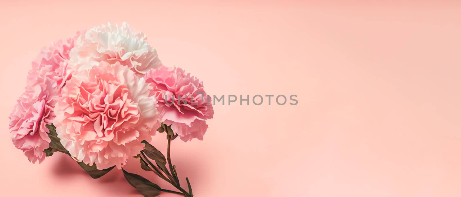 Carnation bouquet on pastel pink background with copy space. 3D illustration concept for Mother's Day holiday greetings card. Wide angle format banner. by FokasuArt