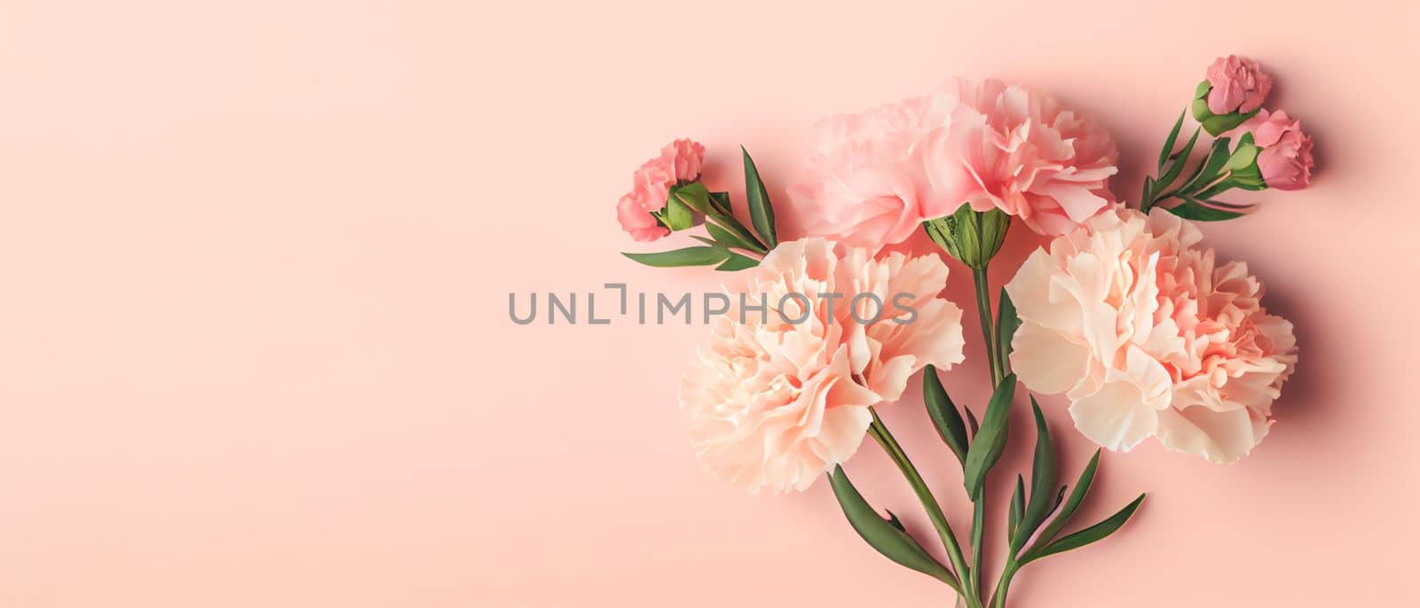 Carnation bouquet on pastel pink background with copy space. 3D illustration concept for Mother's Day holiday greetings card. Wide angle format banner. by FokasuArt