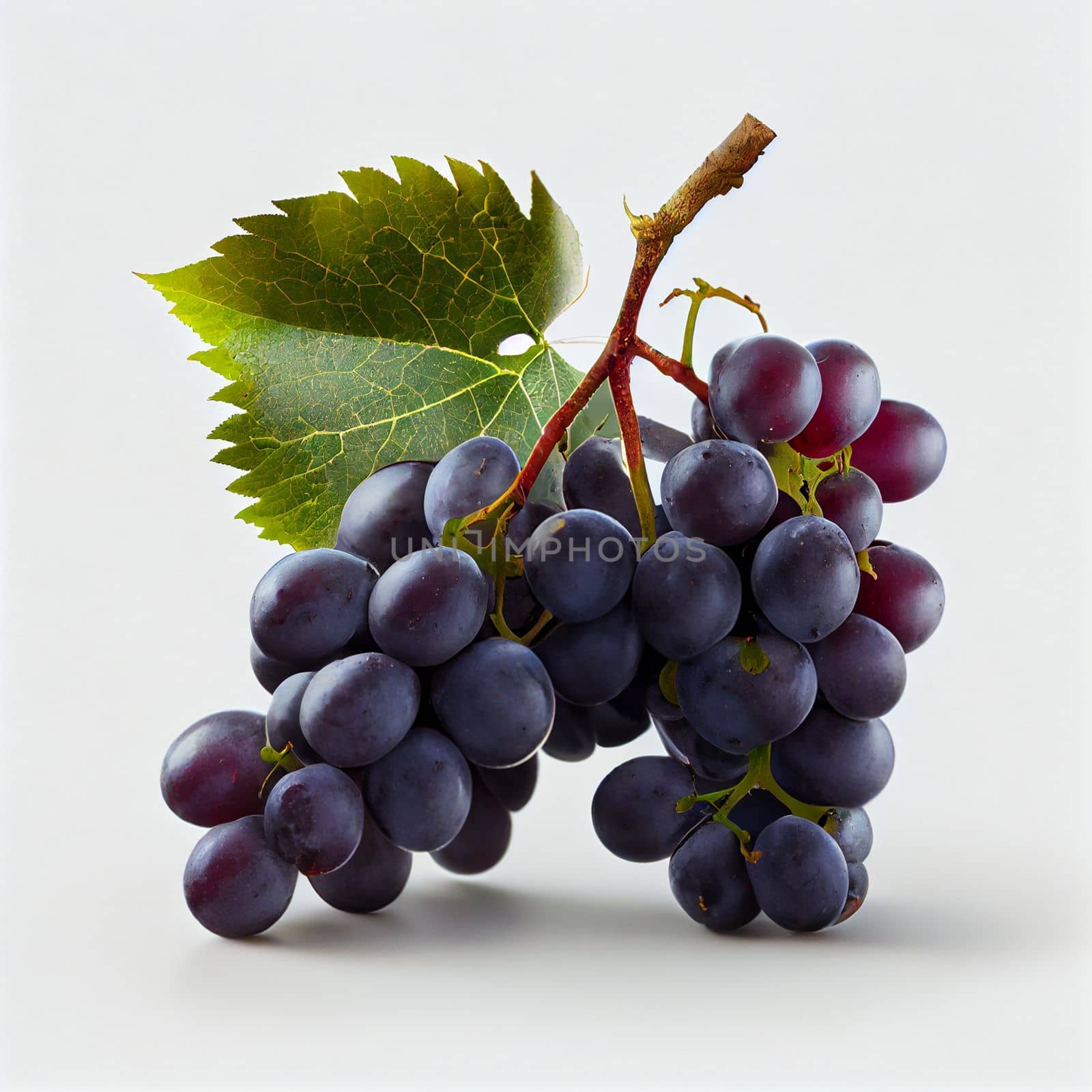 Grapes fruit isolated on white background. by FokasuArt