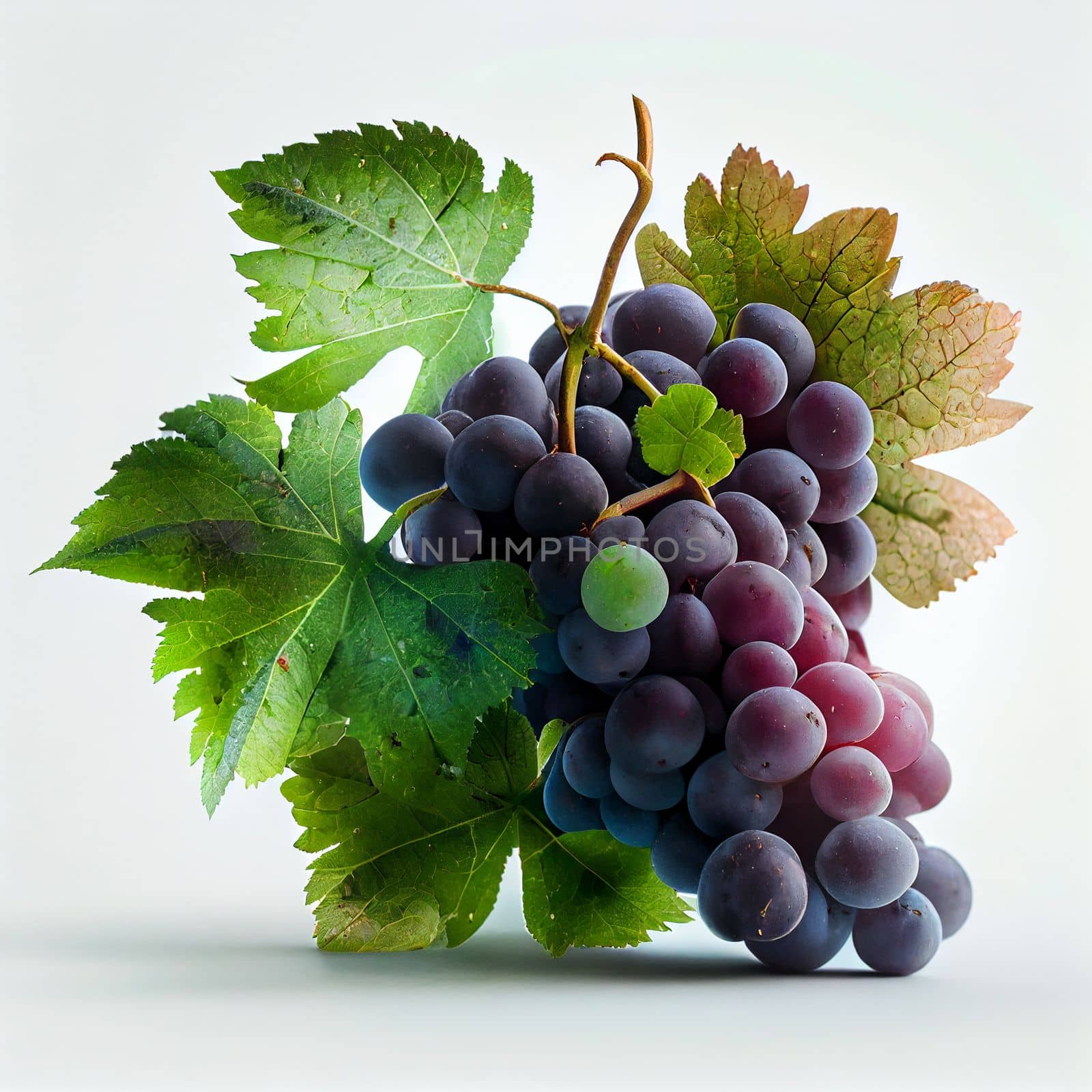 Grapes fruit isolated on white background. by FokasuArt